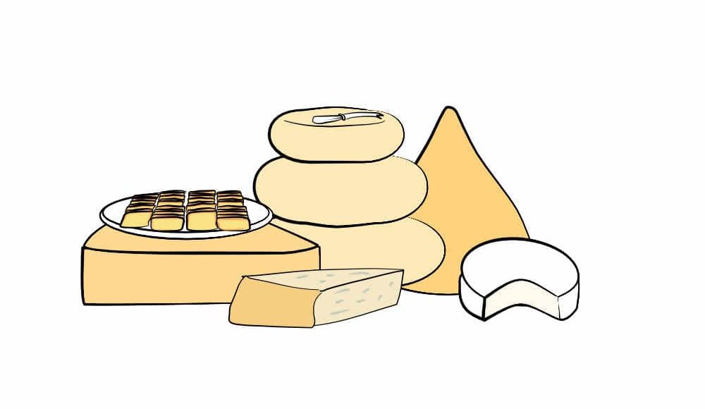 cheeses illustration