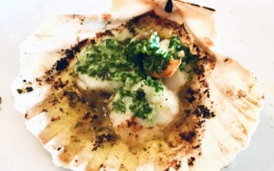 Coquilles St. Jacques (Scallops) in pesto sauce