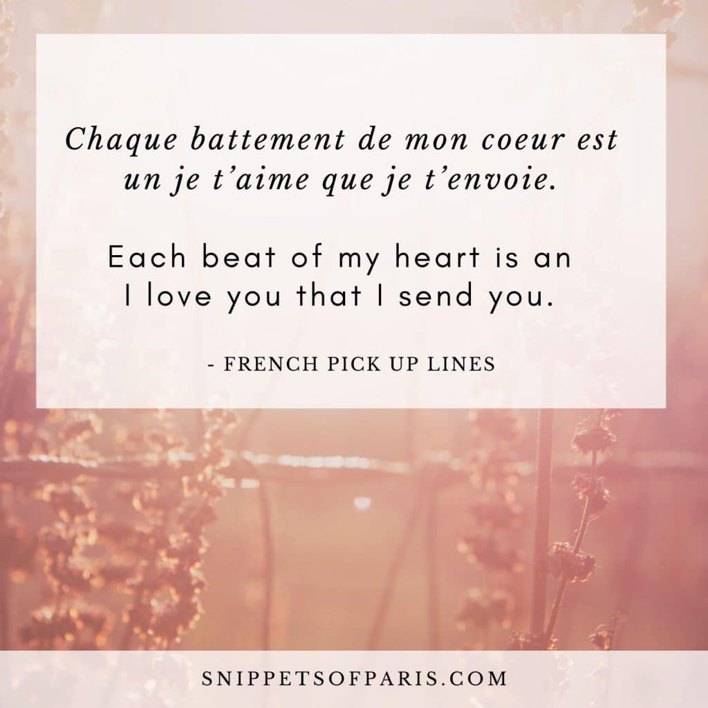 Pick up lines in french - each beat of my heart is an I love you that I send you.