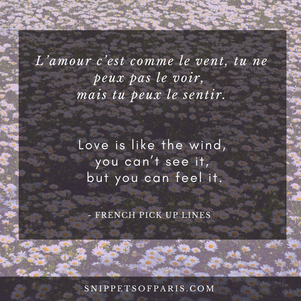Pick up lines in french - Love is like the wind, you can't see it, but you can feel it.
