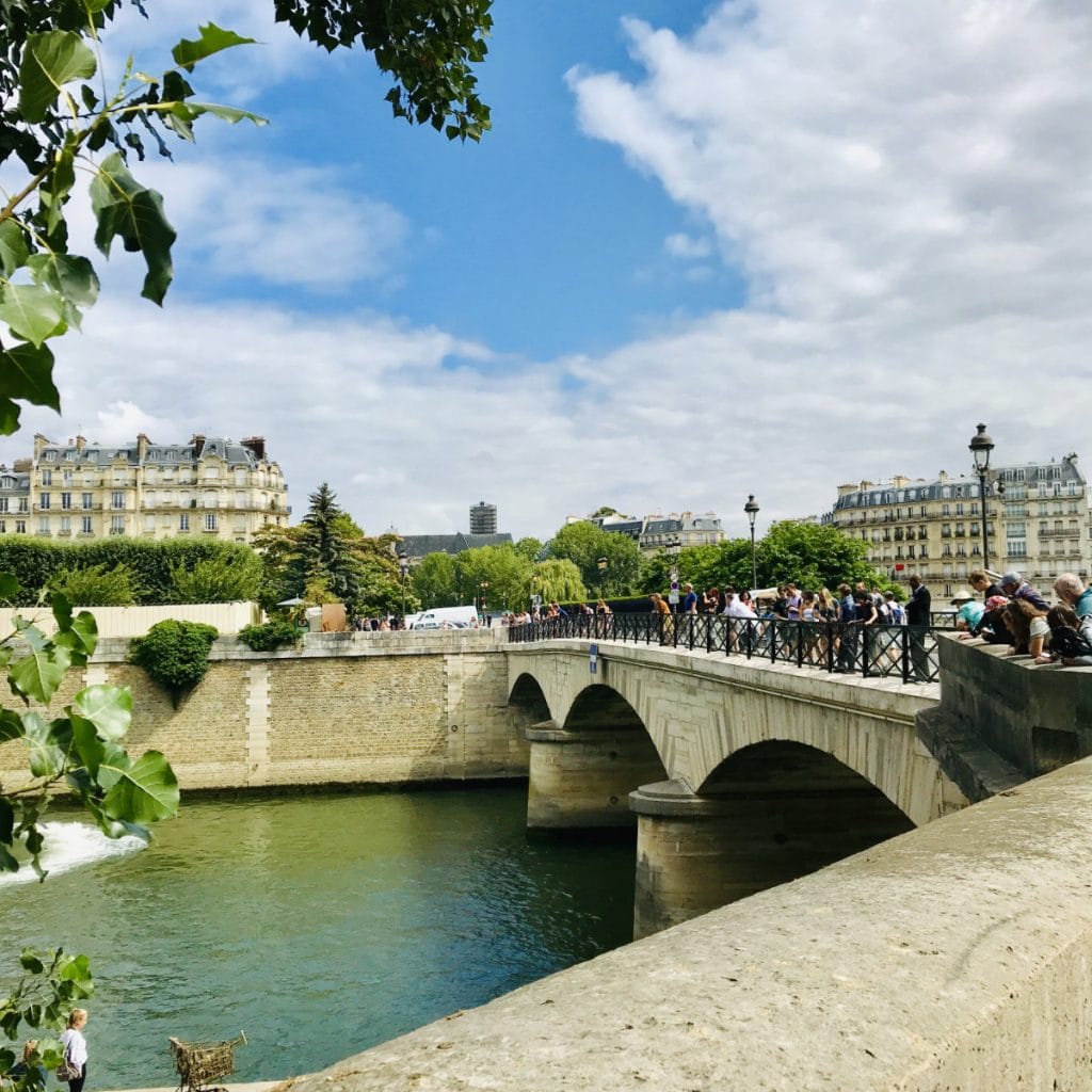 The Seine River in Paris