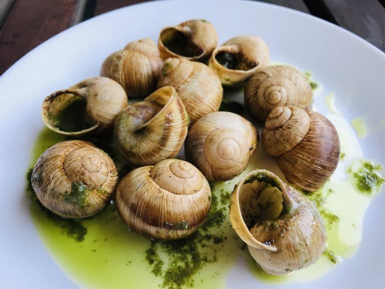 Read more about the article How to eat Escargot (A French local’s guide)