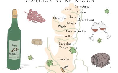 Best wines from the Beaujolais Wine Region (Guide)