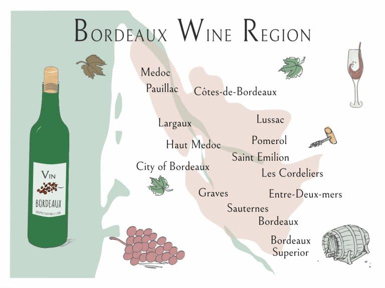 Read more about the article Bordeaux Wine region: The characteristics from vine to wine