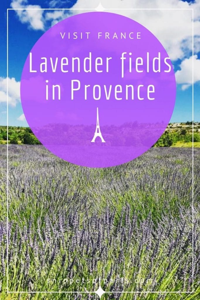 Lavender Fields pin for pinterest