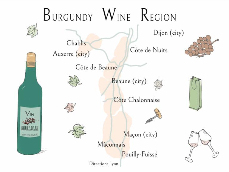 Read more about the article Wines from the Burgundy Region (Explainer Guide)