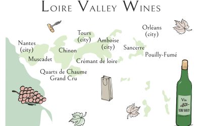 Best wines from the Loire Valley Wine Region (Guide)