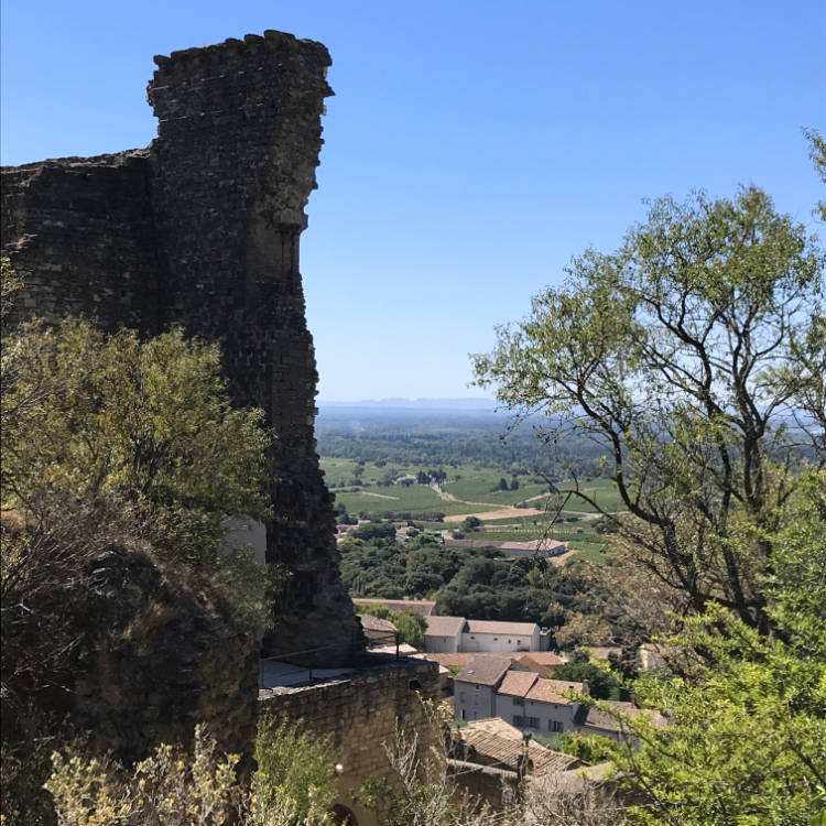 fortress wall at chateauneuf-du-pape