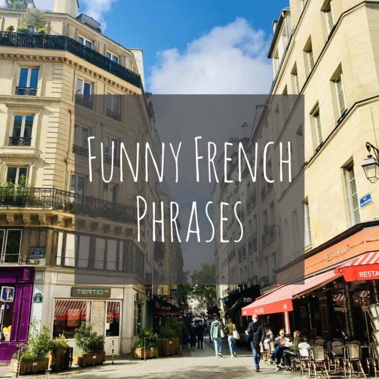 Read more about the article 30 Funny French Phrases & Idioms (Life, Animals and more)