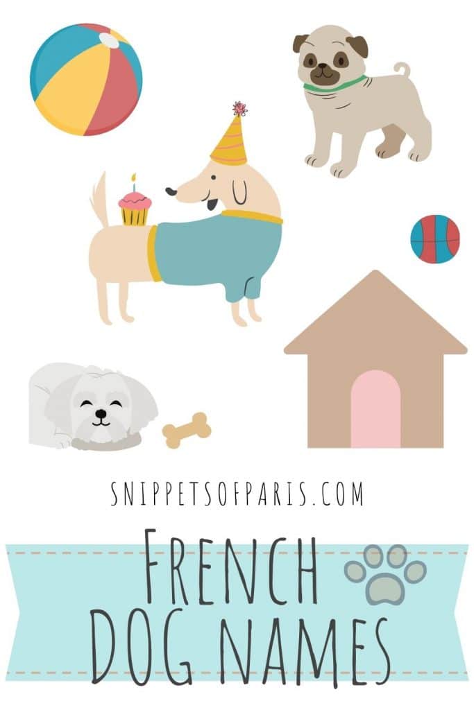 French dog names - pin for pinterest