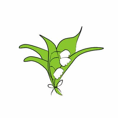 Illustration of muguet lily of the valley