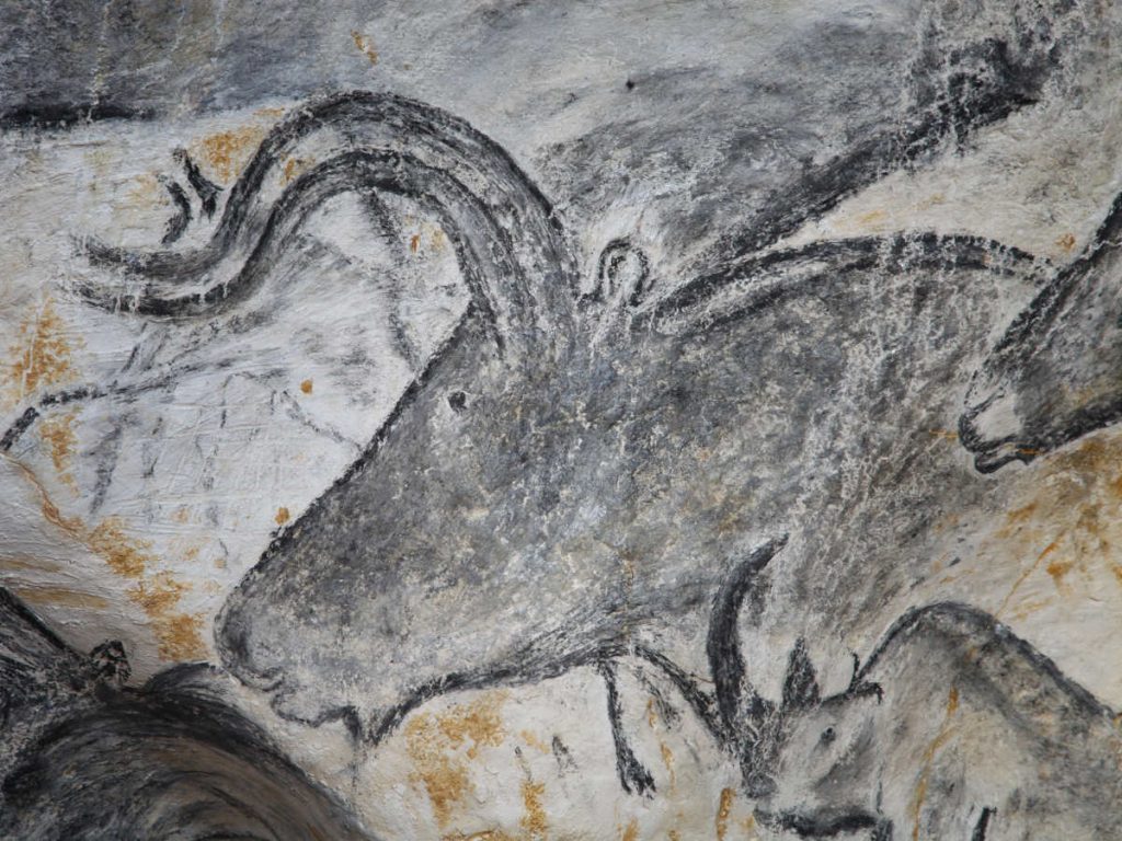 Prehistoric Cave Paintings: What to see in Grotte Chauvet 2 1