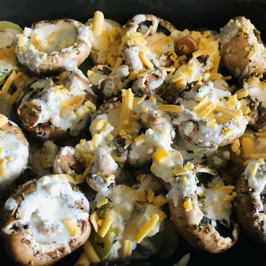 mushroom potato gratin