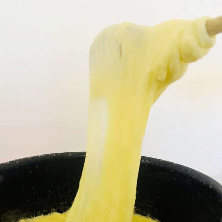 Read more about the article French Pommes Aligot (Recipe)