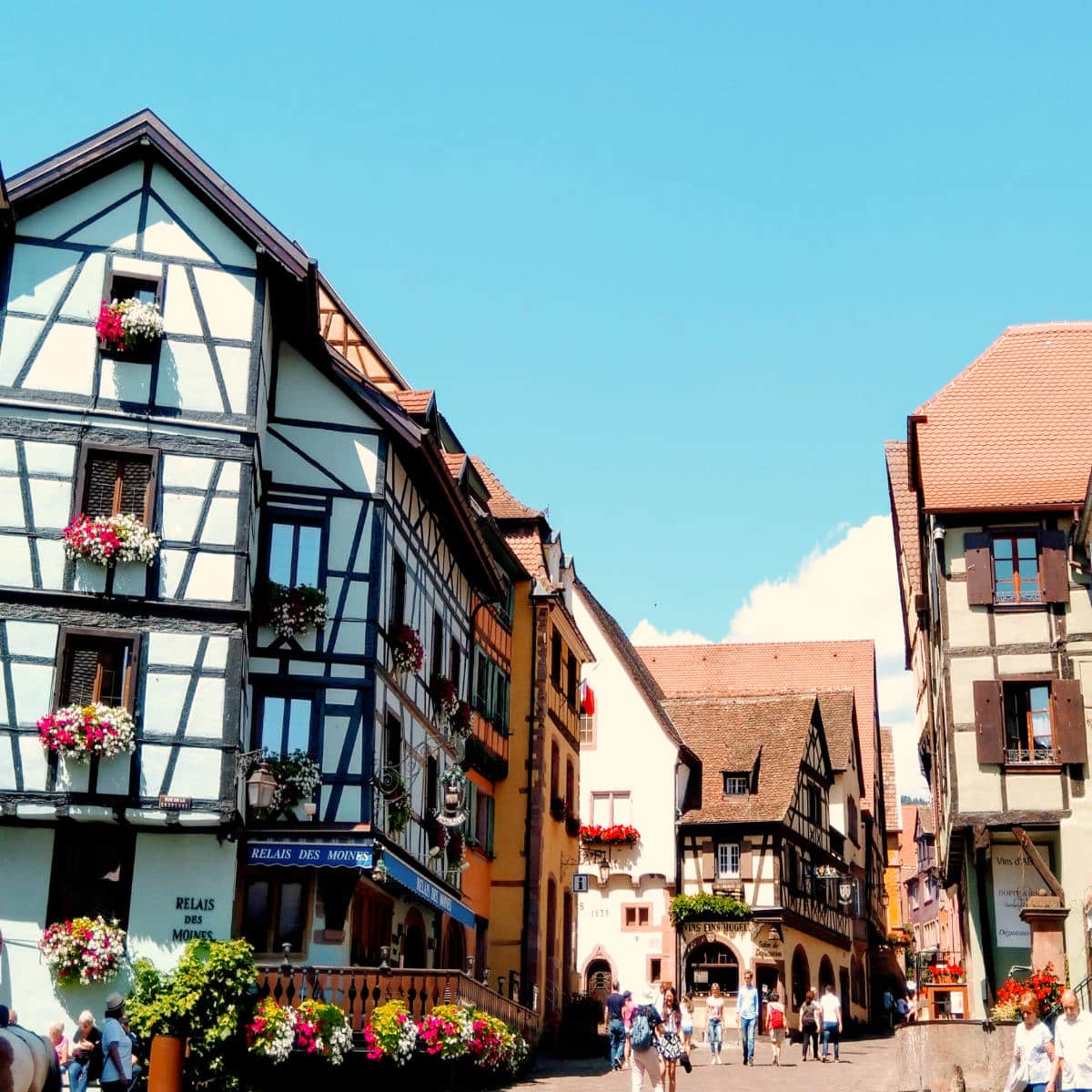 You are currently viewing 14 Facts about Alsace (and Lorraine) in France