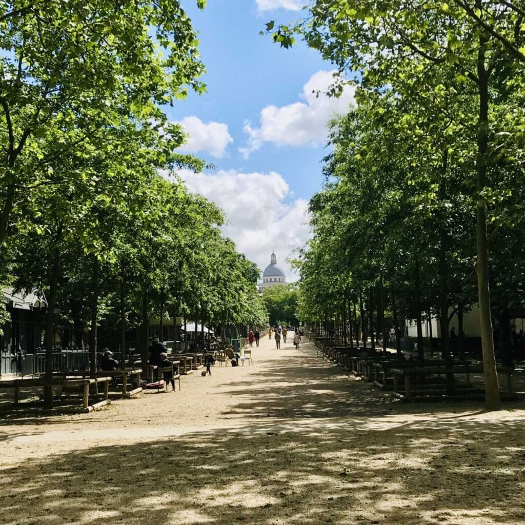 Long alley at Jardin du Luxembourg