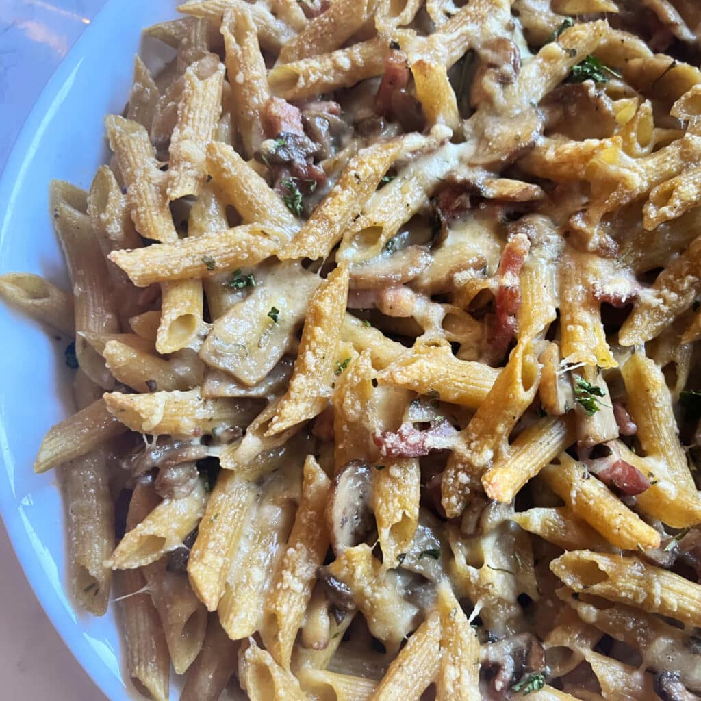 Mushroom and pasta gratin