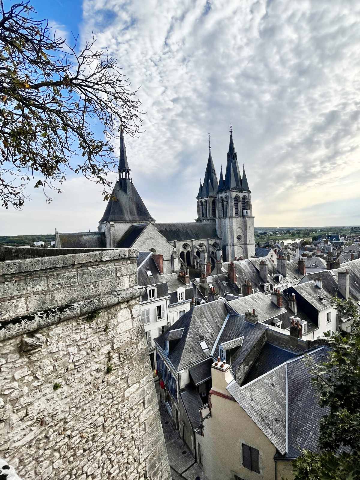 Blois The accidental royal city in the Loire Valley