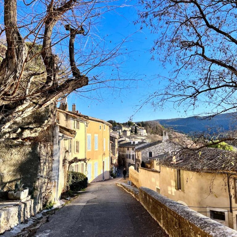 Read more about the article Ménerbes village: Timeless vistas and culinary delights (Provence)