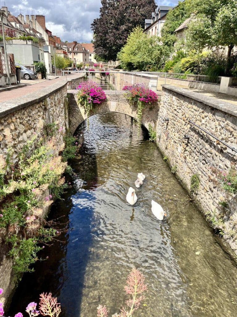 Evreux ramparts with swans swimming along