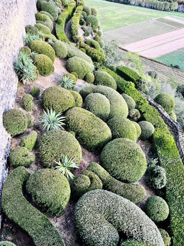 topiary bushes down a hill at Marqueyssac gardens