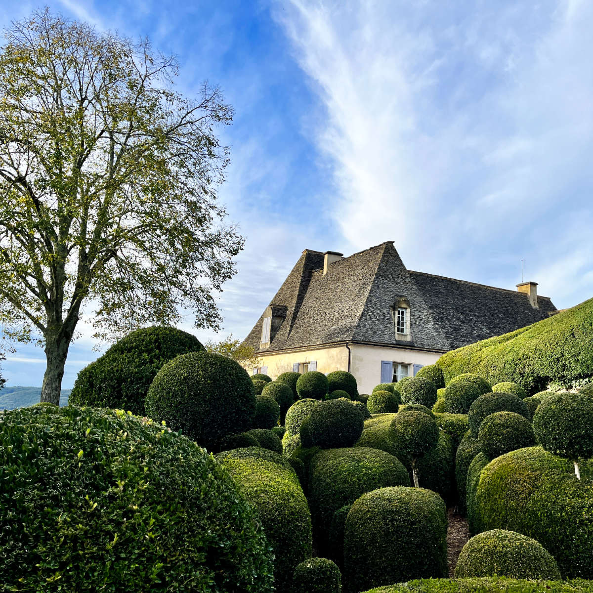 You are currently viewing Marqueyssac gardens and its famed topiaries (Dordogne)